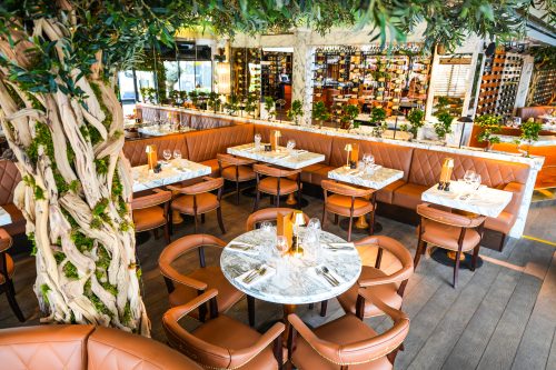 Cibo-Wilmslow-Sept23-71