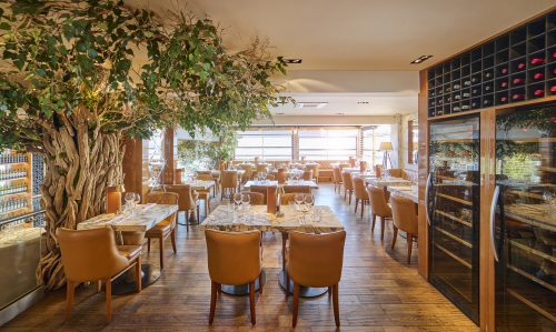 Upscale restaurant dining area with a large indoor tree, marble tables and tan chairs, and wine racks along the right wall.