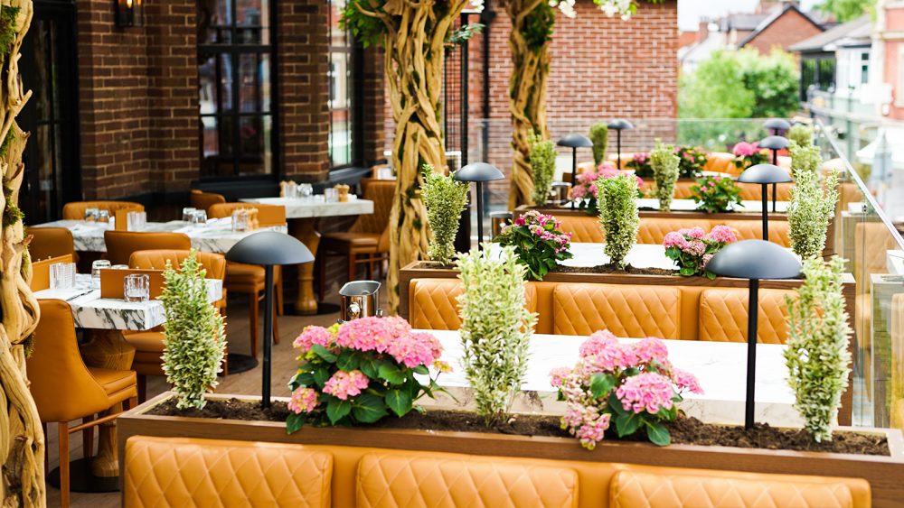 Cibo Hale Book A Table at Ida Avila blog