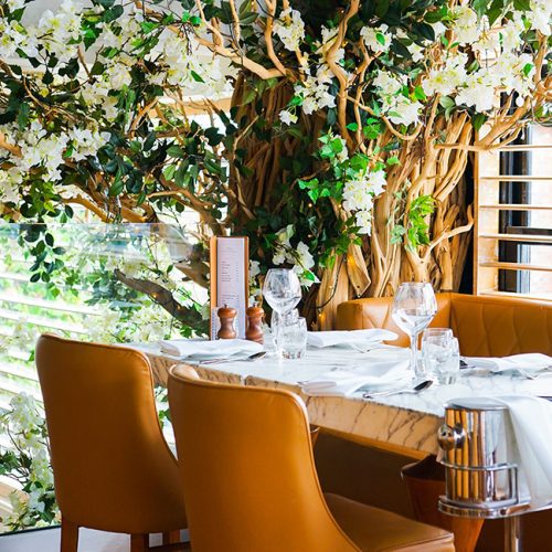 Cibo Hale Cibo Manchester