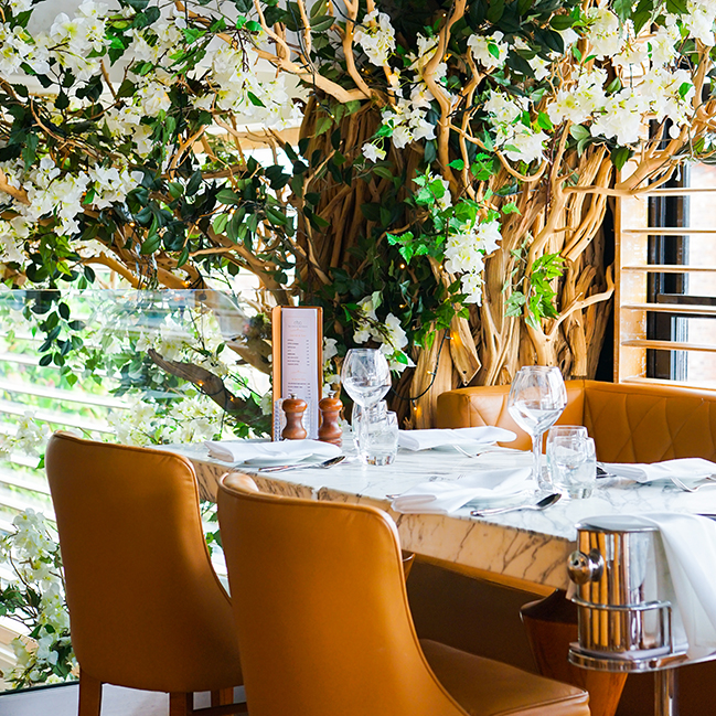 Cibo Hale Cibo Manchester