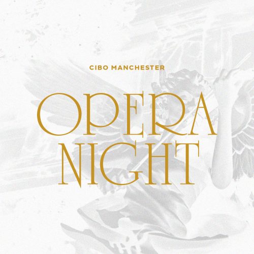 Opera Night Banner