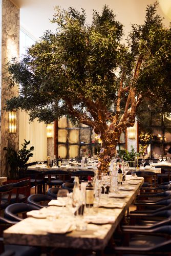 Elegant indoor dining hall with a large illuminated potted tree as a centerpiece, around tables set with wine glasses and napkins