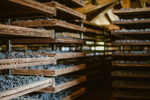 Wooden drying racks stacked with grapes in a dim wine cellar storage area