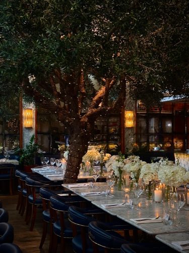 Elegant dining setup under a large tree with string lights, marble tables, and white floral centerpieces